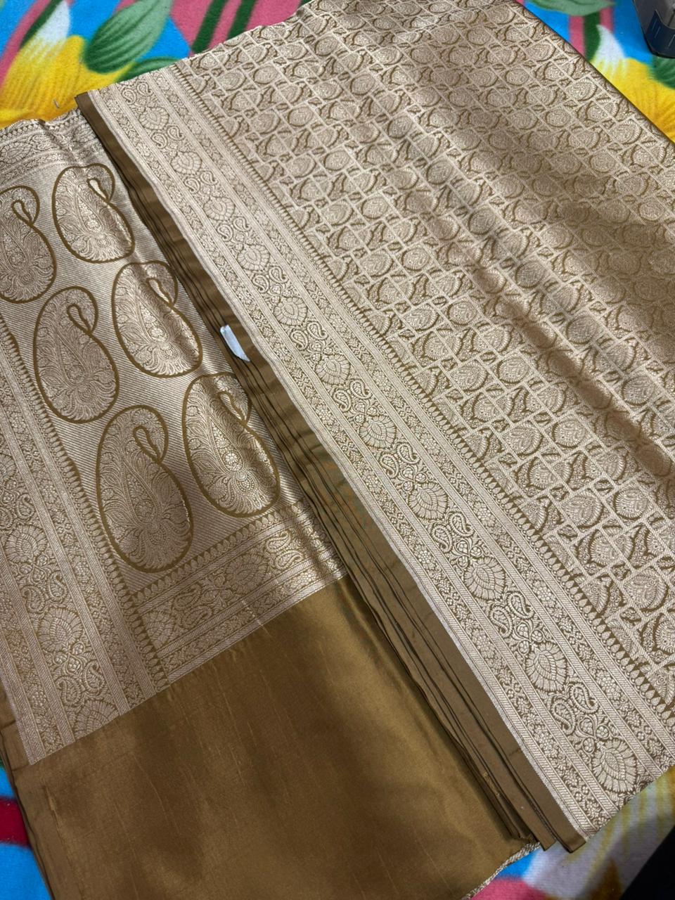 Banarasi Pure Silk- Self Saree