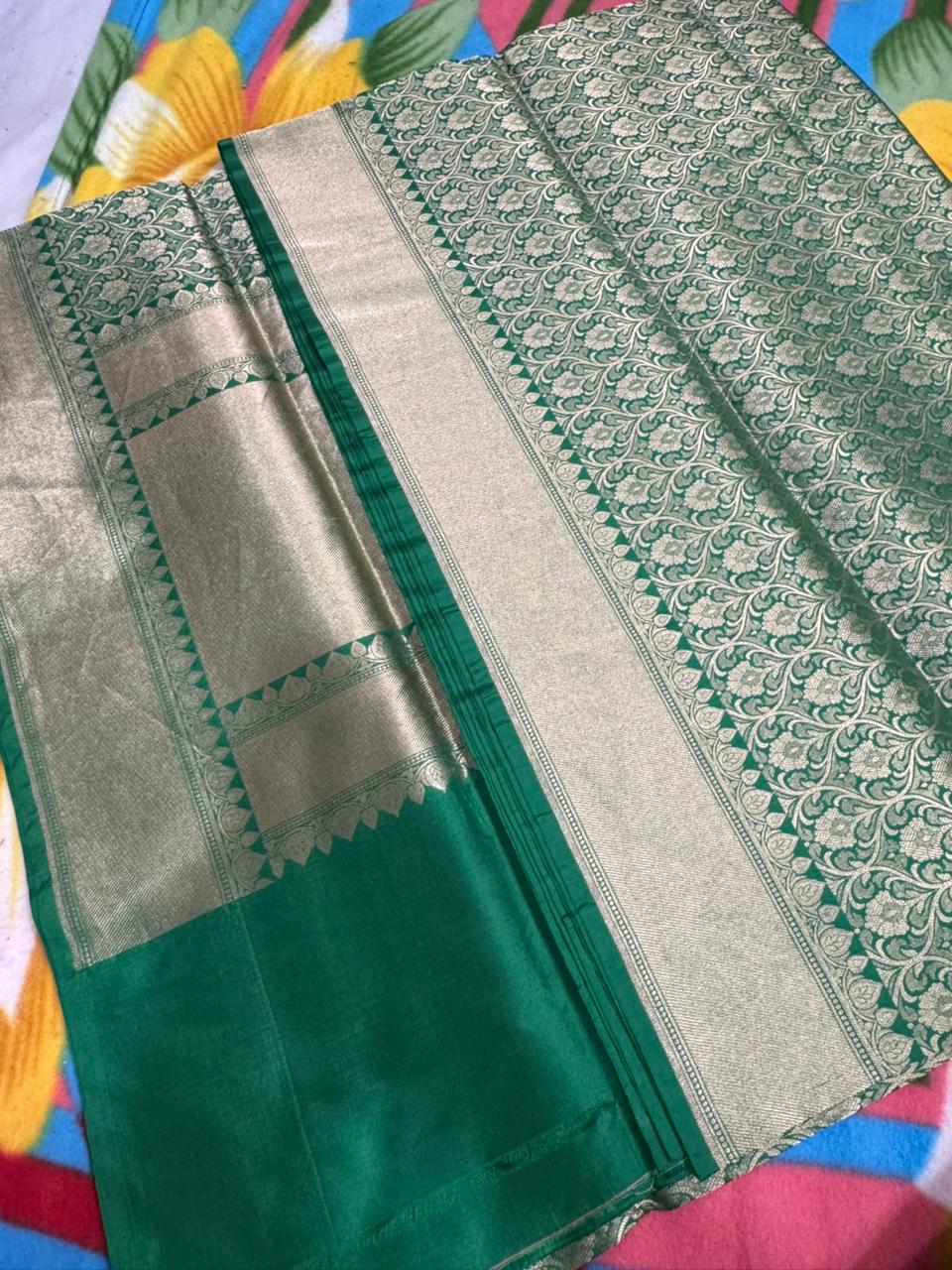 Banarasi Pure Silk- Self Saree
